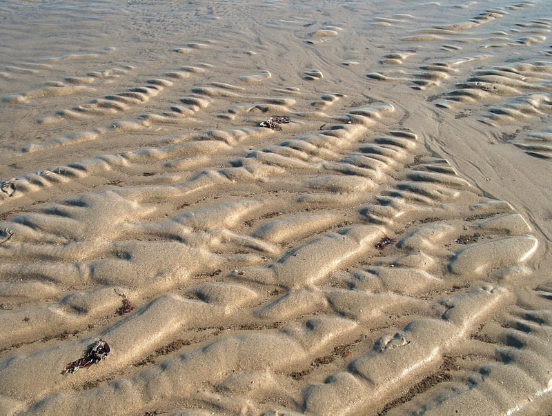 Privacy Policy Image